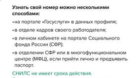 Что делать если СНИЛС не действителен в Милавица