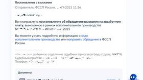 Исполнительный платеж: что это в Милавица