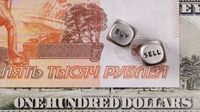 Как купить валюту за рубли в Милавица