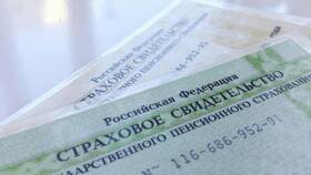 Как найти номер пенсионного свидетельства (СНИЛС) в Милавица