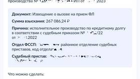 Как подать заявление судебным приставам через Госуслуги в Милавица