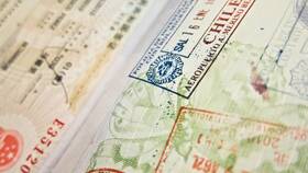 Как правильно оформить визу в Милавица