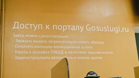 Как просматривать услуги и информацию на портале Госуслуг в Милавица