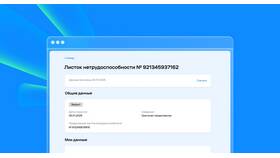 Как проверить статус страховой выплаты в Милавица