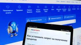 Как снять самозапрет на портале Госуслуги в Милавица