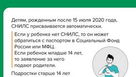 Как восстановить СНИЛС ребенку до 14 лет в Милавица