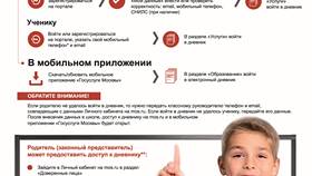 Как войти в электронный дневник через Госуслуги в Милавица
