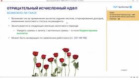 Почему налог на прибыль может быть отрицательным в Милавица